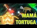 BEBÉ TORTUGA! "MI FAMILIA DE TORTUGUITAS" | FEED AND GROWN