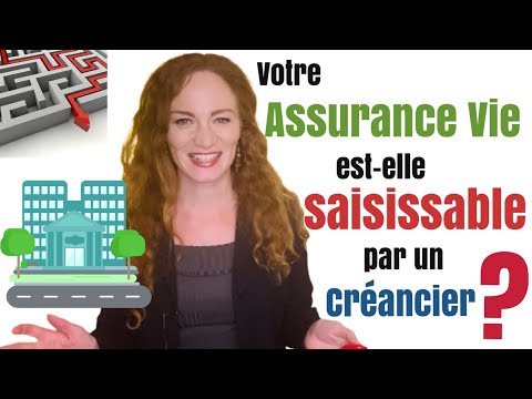 Vidéo: Quelle est la signification de saisissable ?