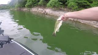 Tablerock Fishing Report