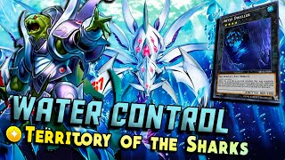Water Control Ft Abyss Dweller   Lock Graveyard U0026 Quick Effect Destroys  Yugioh Duel Links 