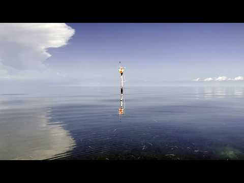 Uploads from Key West Kayak Fishing
