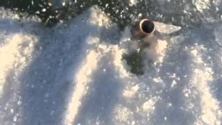 Bullet Spinning on Ice