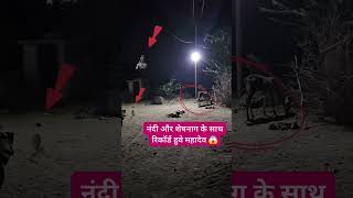 नंदी😱 और शेषनाग😱 के साथ रिकॉर्ड हुवे महादेव #violin #trending #1 million #viral