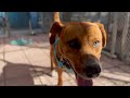 Duke video