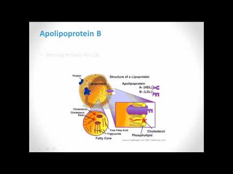 Wideo: Genotypy Promotora Apolipoproteiny E Nie Są Związane Z Rozwojem Hiperintensywności Istoty Białej W Karierach Na Dużych Wysokościach