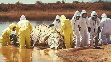 Top 10 meren die iets angstaanjagends onthulden toen ze opdroogden