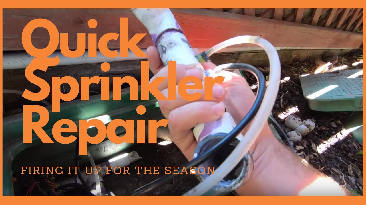 Sprinkler System Repair, Setting Up and Terminating Zones YouTube