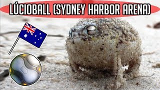Overwatch - Angry Squeaking Frog (Lúcioball Announcer - Sydney Harbor Arena)