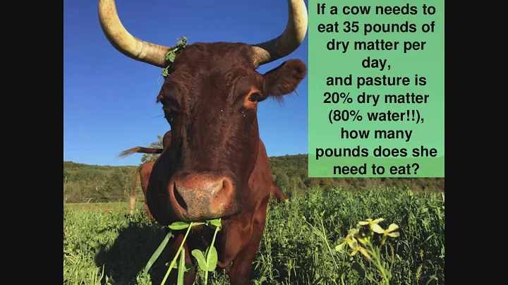 Grazing Management with Sarah Flack Webinar Part 2...