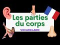 Les Parties Du Corps Parts Of The Body French Vocabulary 