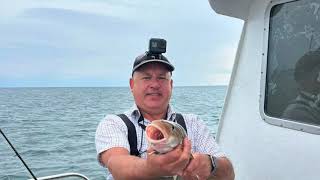 Wreck fishing/Whitby/Sea fishing/Cod