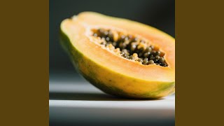 Seharusnya Kita Bisa