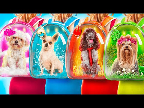 We Build Secret Rooms! Secret Rooms for Pets! We Adopted 4 Elements` Pets! We Build Secret Rooms! Secret Rooms for Pets! We Adopted 4 Elements` Pets!