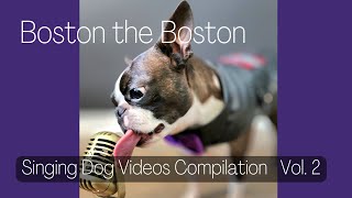 Singing Boston Terrier Montage Vol.2 by Boston the Boston 1,640 views 1 year ago 5 minutes, 2 seconds