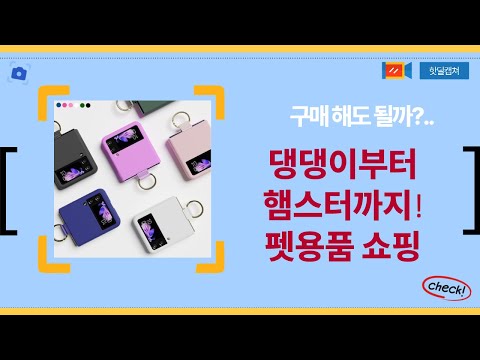 강아지부터 햄스터까지! 펫 용품 쇼핑 꿀팁  솔직 후기 (사료/패드/치약)