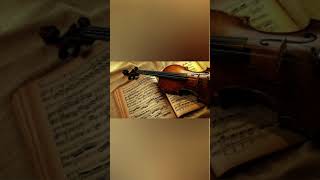 Violin,Lindsey Stirling,Electric Violin,Скрипка Музыка Youtube Shorts