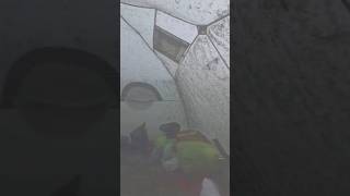 Thousands of Mosquitoes Surround This Tent