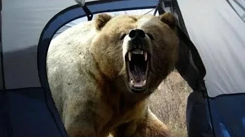 Leah "Davis"Lokan fatally mauled by rare predatory...