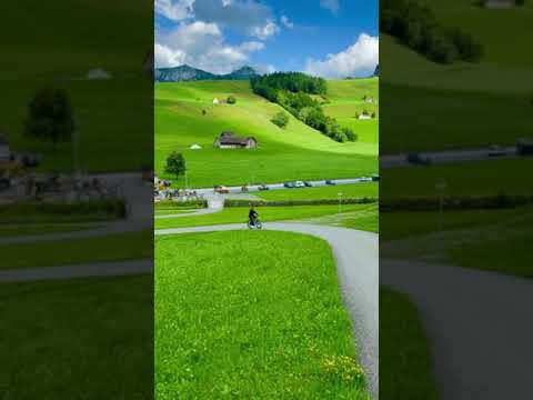 بهجة الحياة في المروج الخضراء ب سويسرا