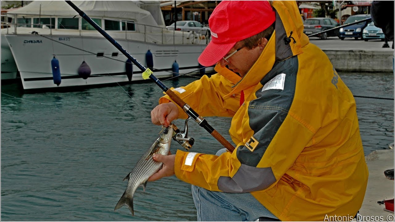 Match Fishing - Εγγλέζικο σε Λιμάνι