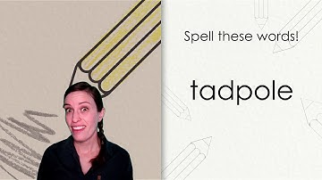 Skills Flex: G1M3C18L95 [Grade 1, Module 3, Cycle 18, Lesson 95]