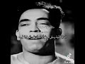 اخرك متر في متر اخرك متر في متر