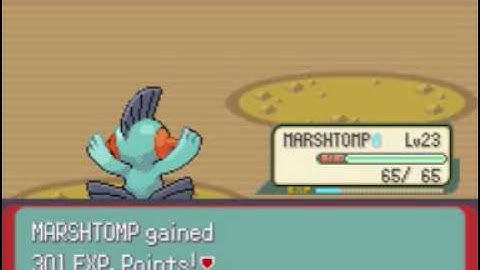 Pokemon Emerald walkthrough Part 27 - Rusturf Tunnel