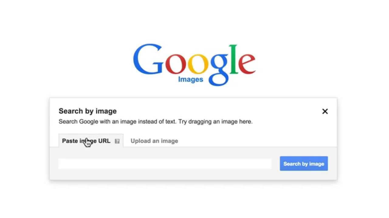 how do i do a reverse image search