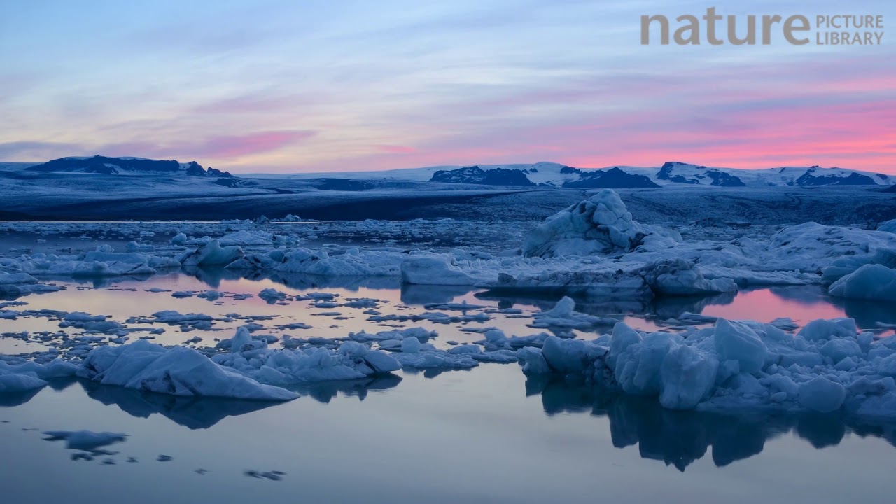 footage of chernobyl Timelapse of icebergs moving in Jokulsarlon glacial lagoon at twilight, formed from meltwater from t