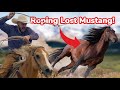 We try to catch a wild mustang again