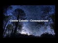 Camila Cabello - Consequences (Lyrics)