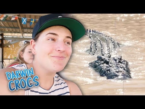 When In Darwin - Crocodiles & Humpty Doo