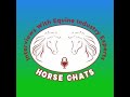 304: Meredith Chapman 2 - Ten Important Safety Considerations When Working With Horses