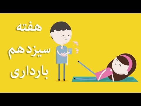 بارداری هفته به هفته هفته سیزدهم بارداری