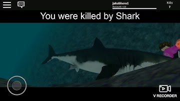 Testong out the noob bat in ragdoll system test