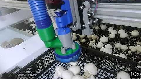 Mushroom Picking Robot by Reest - August 2020 ( Part 2 )