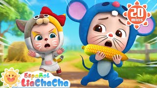 Download Lagu Canción de los Animales de Granja | LiaChaCha en Español - Canciones Infantiles MP3 Download Lagu Canción de los Animales de Granja | LiaChaCha en Español - Canciones Infantiles MP3