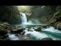 Soothing Jungle Water Stream 🌧️ | Calming Nature Sounds for Deep Sleep & Meditation