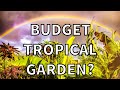 How to Grow a UK Tropical Garden on a Budget