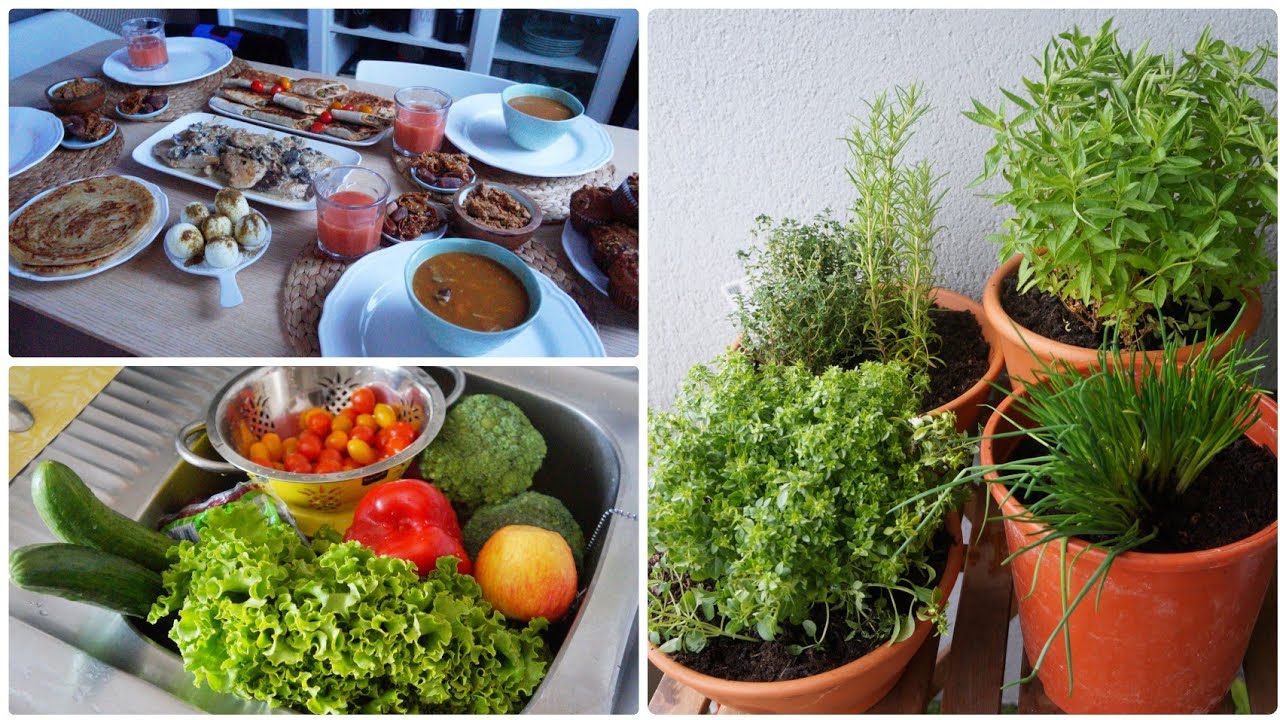 سادس أيام رمضان 2020 : قاديت لويزة و الحبق و اعشاب اخرى في البالكون و فطور لذيذ و سريع