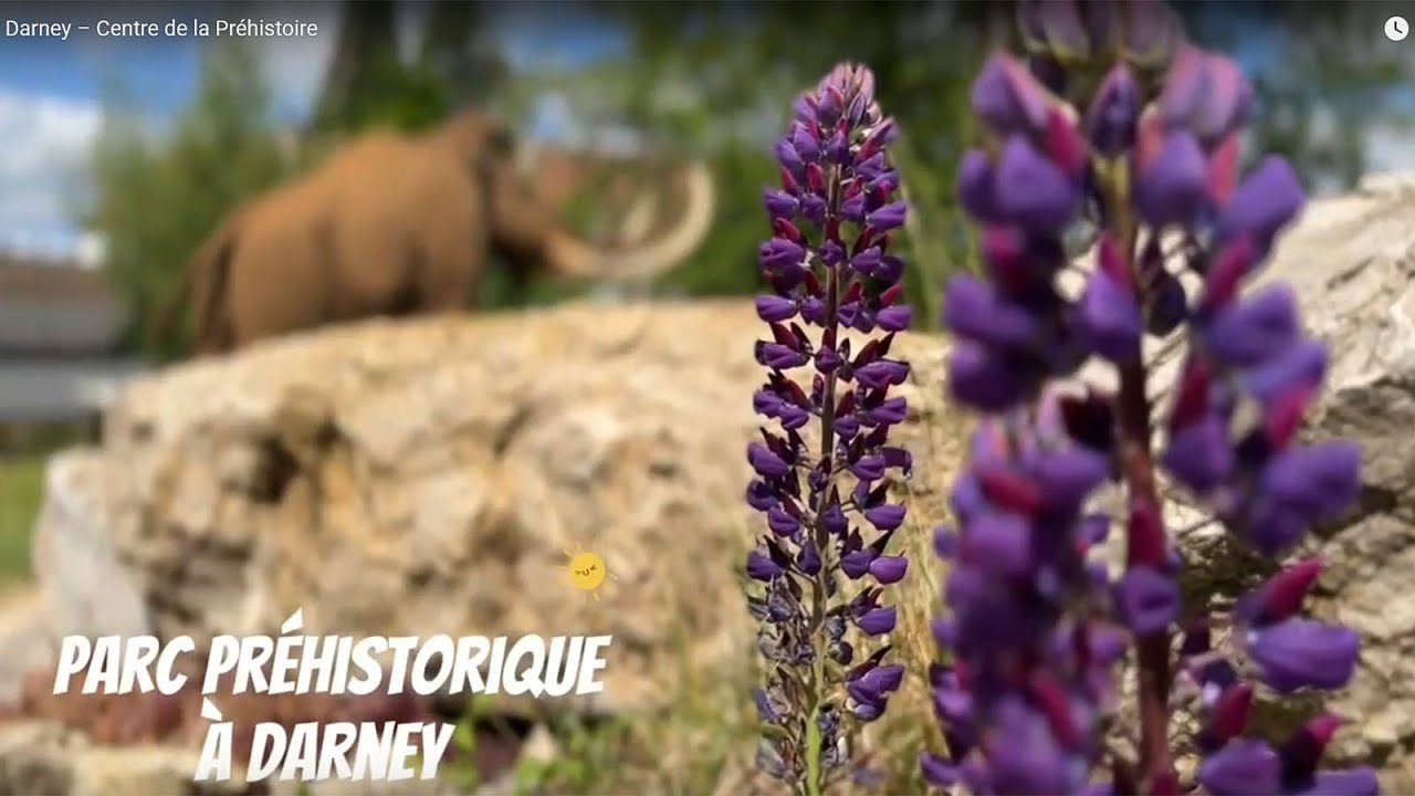 📍 1. Darney – Centre de la Préhistoire