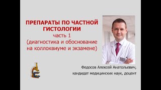 картинка: ПРЕПАРАТЫ ПО ЧАСТНОЙ ГИСТОЛОГИИ. Ч. 1 (диагностика и обоснование на коллоквиуме и экзамене)