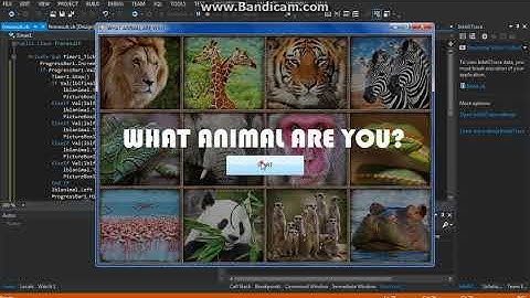 Visual Basic .NET - What animal are you? Tutorial Part 7
