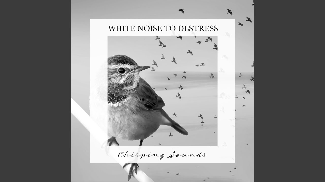 YouTubeでChirping Sounds, Pt. 5を視聴