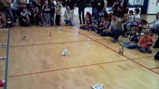 2009 Turtle Races - Part 1