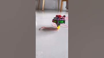 Self-balancing Buddy 😍- #gyroscope 😍