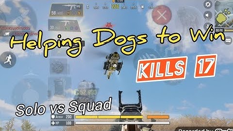 Helping Dogs to Win 🐕‍🦺🔥| Solo vs Squad | COD Mobile | BattleRoyal | The Right Gaming | GamePlay 194