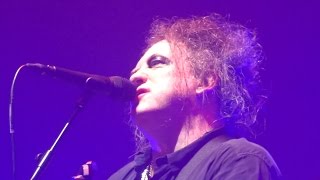 THE CURE (just like heaven) 2016 LIVE HD LYON (FR)