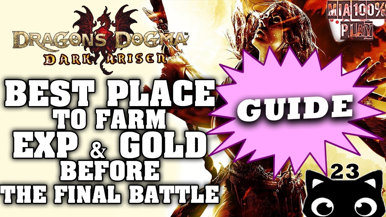 BEST PLACE TO FARM EXP & GOLD Before The Final Battle - Walkthrough