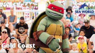 Teenage Mutant Ninja Turtles - Live Full Show at Sea World Gold Coast 🏖️